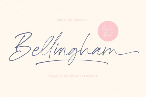 Bellingham Script: Crafting Authentic Brand Personality