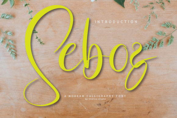 Seboz Script: Your Handwritten Font for Authentic Branding