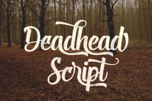 Unleashing Creative Energy with Deadhead Script