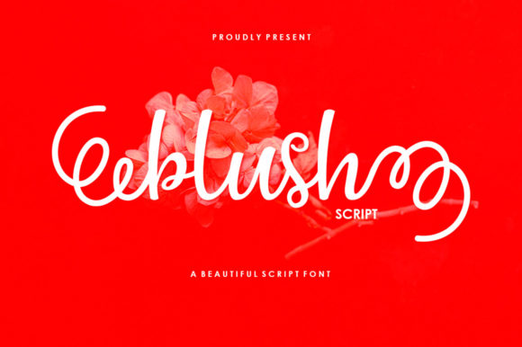Why Blush Script Feels Like a Conversation, Not Just a Font