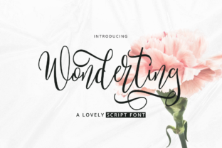 Wonderting Script: A Soft, Playful Font for DIY & Branding